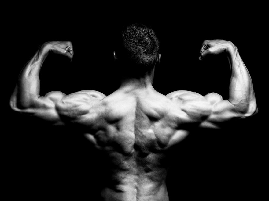 The 4-Step Biceps Builder