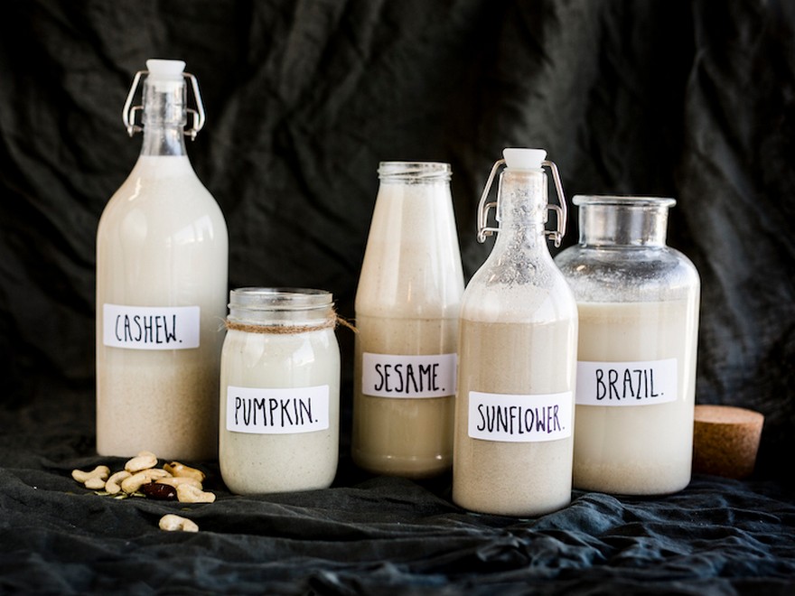 5 Plant-Based mostly Dairy Free Milk Recipes
